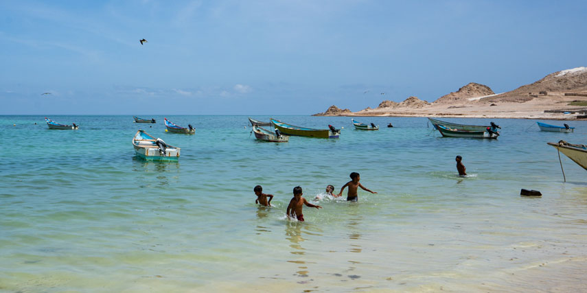 SHOAB BEACH/DOLPHINS & CORAL REEF AT DIHAMRI