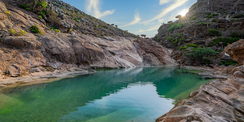 HOMHIL NATURAL POOL