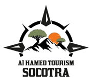 atsi-socotra-logo03